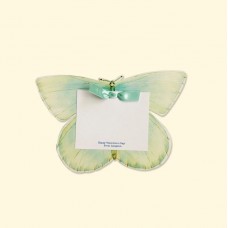 AquaGreen Butterfly